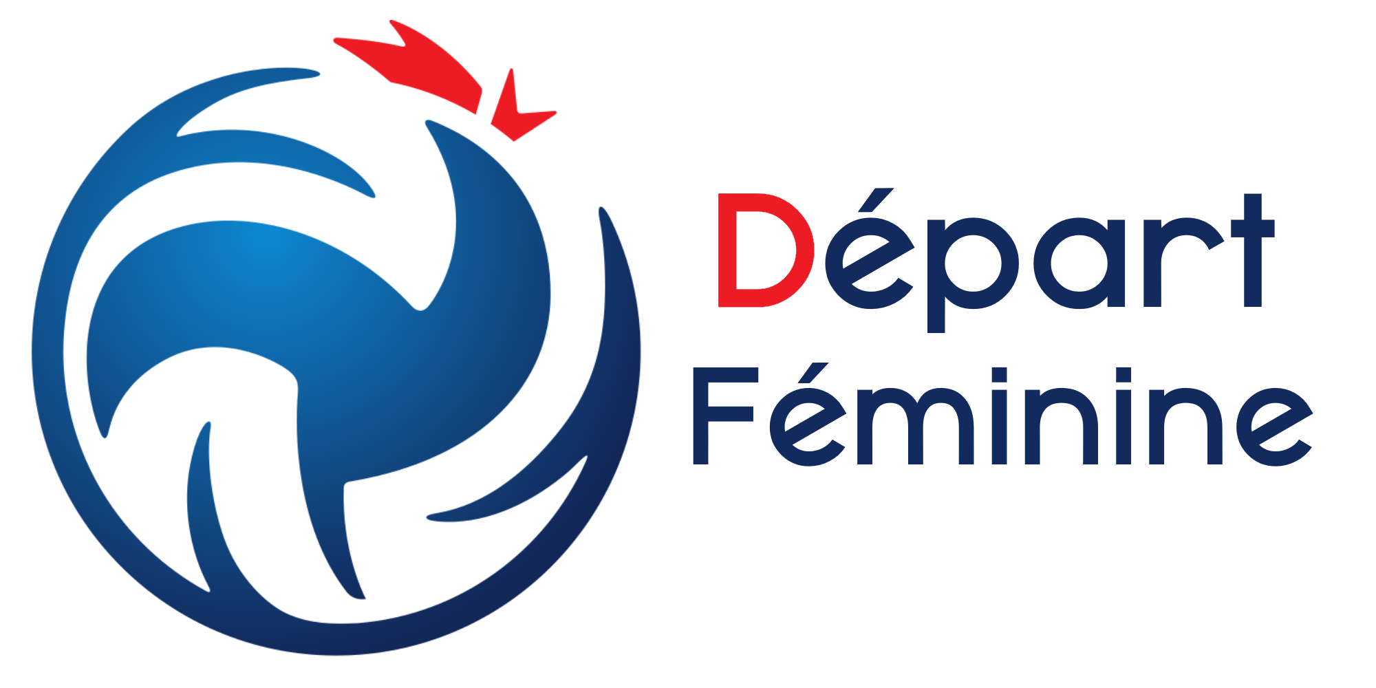 logo calendrier DF